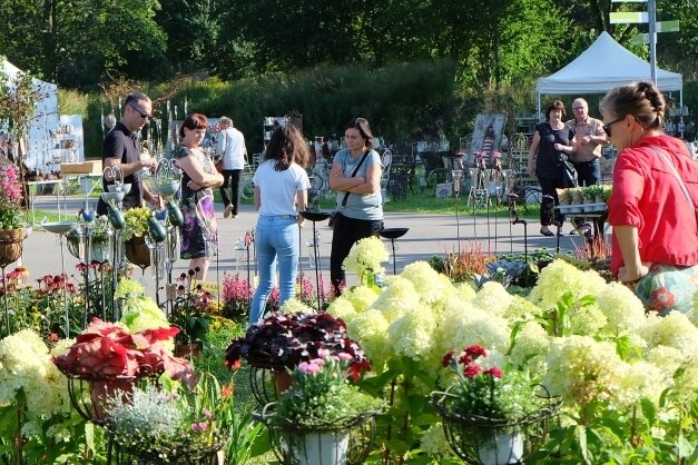 Haus- und Gartenmarkt in Oelsnitz: Viele schauen nur - Über 50 Aussteller haben beim Haus- und Gartenmarkt im Oelsnitzer Bürger- und Familienpark ihre Angebote präsentiert. 