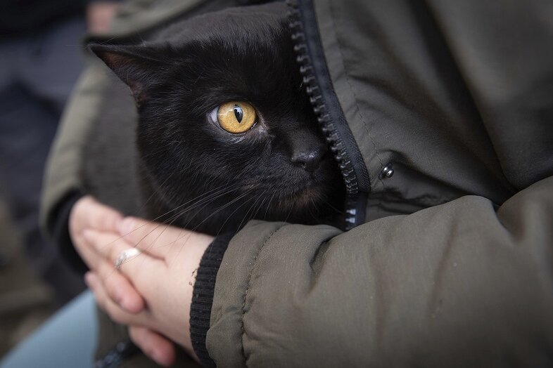 Eine aus der Ukraine geflüchtete Frau mit ihrer Katze.