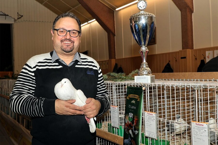 Heiko Zeißler zeigt in Stein die besten Tauben und gewinnt den Meistertitel - Heiko Zeißler wurde Vereins- und Vizemeister mit seiner Taubenzucht Schlesische Kröpfer weiß.