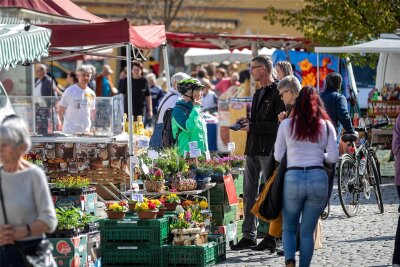 Heimatmarkt in Burgstädt startet mit neuen Händlern in die Saison - Bei fast sommerlichen Temperaturen war der Heimatmarkt in Burgstädt am Samstagvormittag gut besucht.