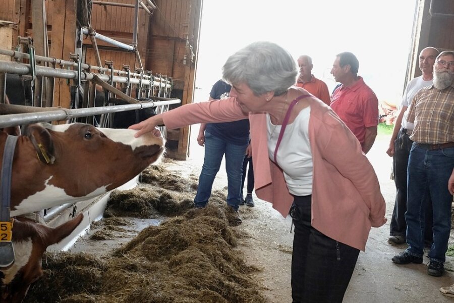 Heinsdorfer Gemeinderat setzt ein Zeichen: "Vergesst unsere Bauern nicht" - Rundgang im Stall mit seinen 70 Milchkühen, die es Bürgermeisterin Marion Dick sichtlich angetan haben. Rechts Landwirt Karsten Schimpfermann, der den Räten Details zur Haltung der Tiere erläuterte. 