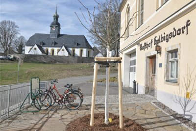 Helbigsdorf: Neue Kastanie gepflanzt - Helbigsdorf bereitet sich auf die Festwoche zum 700-jährigen Bestehen des Ortes im Juli vor. Im Bild der Gasthof mit der neu gepflanzten Rosskastanie.