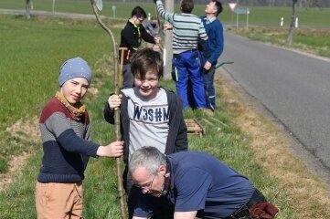 Helfer bringen 43 Bäume in die Erde - René Ziegenhagen pflanzt mit Janosch (li.) und Tom bei Städten einen Baum ein. 