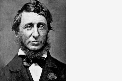 Henry David Thoreau: Ungehorsam gegen die Schatten der Zivilisation - Henry David Thoreau - Philosoph
