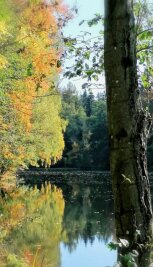 Herbstliche Idylle - "Kleiner Weiher am Waldrand".