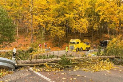 Herbsttief hinterlässt im Westerzgebirge viele Schäden - Einen Baum legte der Sturm am Mittag quer über die Staatsstraße, die von Schwarzenberg nach Sosa führt. Damit war die Kurve im Halsbachtal blockiert, auch die Leitplanken wurden beschädigt. 