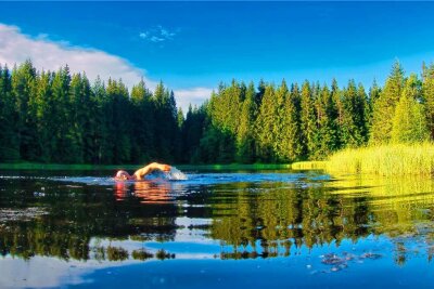 Hier gibt es Abkühlung an heißen Tagen: Die zehn schönsten Badestellen im Vogtland - Ein Gefühl wie in Schweden: Der Vogtlandsee, umgeben von Wald, verspricht echte Abkühlung.