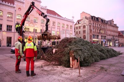 Hier wird der Zwickauer Weihnachtsbaum zerkleinert und abtransportiert - Am Dienstag wurde der Weihnachtsbaum auf dem Zwickauer Hauptmarkt zerkleinert und abtransportiert.