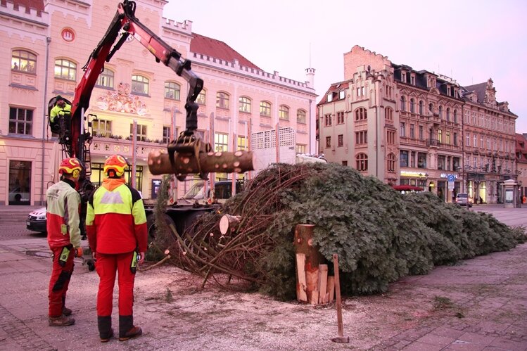 Hier wird der Zwickauer Weihnachtsbaum zerkleinert und abtransportiert - Am Dienstag wurde der Weihnachtsbaum auf dem Zwickauer Hauptmarkt zerkleinert und abtransportiert.