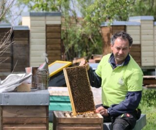 Hilfe für die Biene tut der Umwelt gut - Bienenzüchter Peter Gruner besucht mit seinem Bienenvolk auch regelmäßig Schulen und Kindergärten. 