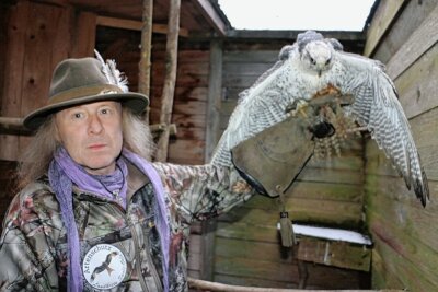 Hilfe für verletzte Greifvögel: Neue Spendenaktion gestartet - Jens Neumeister mit einem Großfalken, der verletzt war und nun in der Vogelaufzuchtstation gepflegt wird.