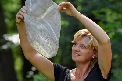 Hilfe, späte Mücken! - Geht Doreen Werner auf Mückenjagd, wie hier in einem Auwald in Brandenburg, ist der Kescher ihr wichtigstes Utensil. 