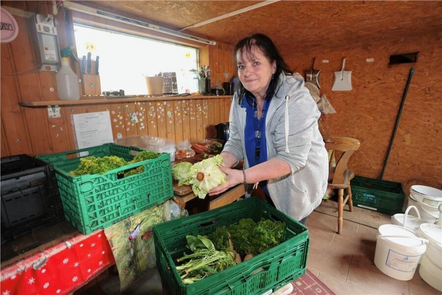 Hilferuf aus dem Tiergehege in Zwickau: Entschädigung für Ehrenamtliche deckt nicht mal die Kosten für die Fahrtickets - Manuela Klier sortiert das Gemüse in der Futterküche des Tiergeheges. Sie kommt aus Neuplanitz.