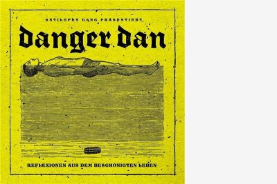 Hirnhaken - Danger Dan: "Reflexionen aus dem beschönigten Leben"