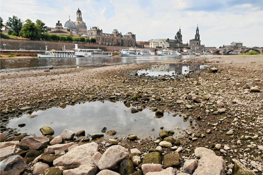 Hitze und Trockenheit: Experten rechnen mit neuen Rekorden - Der Pegel der Elbe in Dresden misst noch 57 Zentimeter. Normal sind zwei Meter. Die Elbschifffahrt ist stark eingeschränkt. 