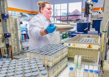 Hochtechnologie im Rittergut - Milchwirtschaftslaborantin Jana Bellmann bei der Molkereigüteprüfung. Um eine gleichmäßige Durchmischung der Proben in den Probengläsern zu erreichen, müssen diese von Hand geschüttelt werden.