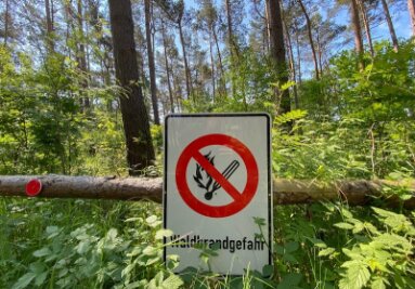 Höchste Brandgefahr in Sachsens Wäldern - Am Wochenende werde in den nördlichen Regionen des Freistaates die höchste Waldbrandwarnstufe 5 erreicht, teilte der Staatsbetrieb Sachsenforst am Donnerstag mit.