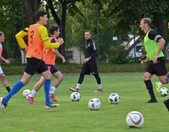 Hoffnung auf eine vollständige Serie - Handwerk-Trainer Ringo Delling (M.) und seine Männer starten in ihre dritte Landesliga-Saison. 