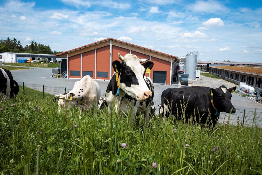 Hofgut Eichigt: Ist Sachsens größter Bio-Bauernhof ein „Landräuber“? - Blick auf das Gelände im Hofgut Eichigt im Vogtland. Der Betrieb arbeitet nach den Bioland-Kriterien.