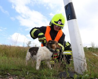 Hohenstein-Ernstthal: Unfall auf A4 - Paar verletzt, Hund stirbt - 
