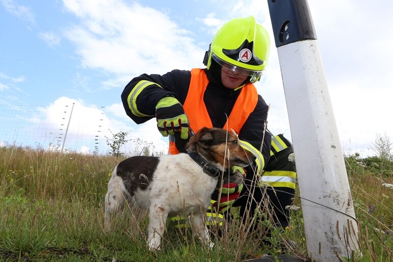 Hohenstein-Ernstthal: Unfall auf A4 - Paar verletzt, Hund stirbt - 
