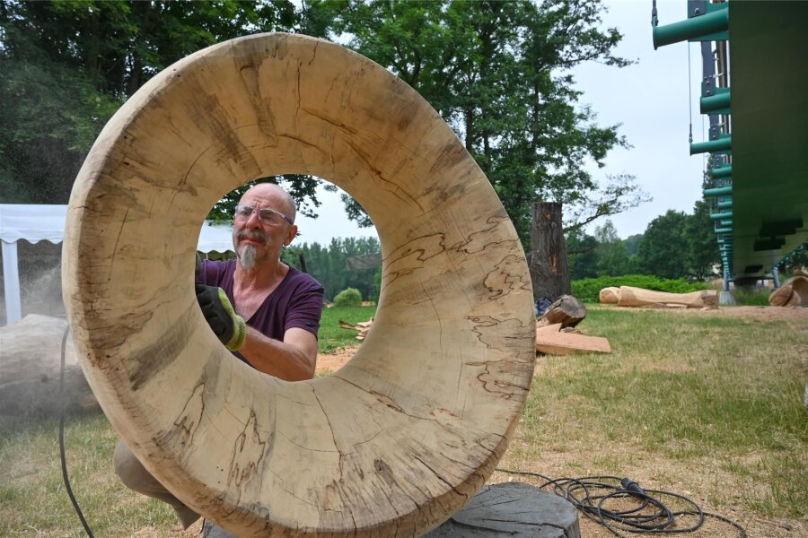 Holzbildhauer treffen sich im Chemnitztal: Kunstwerke entstehen vor Publikum - Wie ein Lautsprecher sieht die Holzskulptur des Künstlers Frank Raßbach aus, die er 2022 bearbeitet.