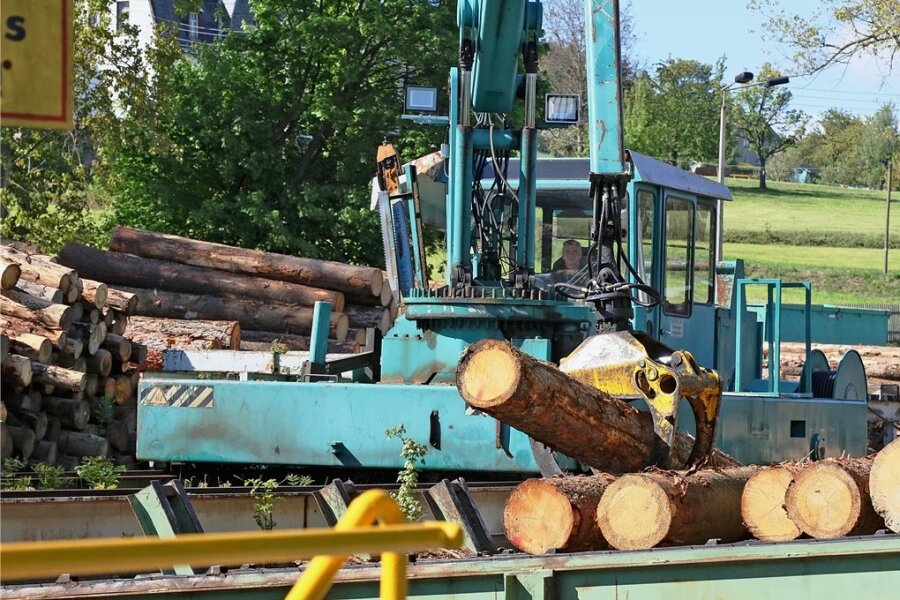 Holzknappheit bremst Bauboom aus - Obwohl das Sägewerk in Bärenwalde an seiner Kapazitätsgrenze arbeitet, kann es derzeit die gestiegene Nachfrage an Bauholz nicht befriedigen, werden aktuell keine Aufträge von privaten Kunden entgegengenommen. 