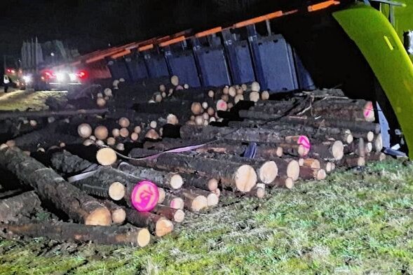 Holzlaster kippt um: Hoher Schaden - Das Holz, welches der Lkw geladen hatte, verteilte sich auf einer Wiese.. 