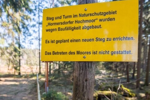 Hormersdorfer Moor erhält noch in diesem Jahr einen neuen Steg - Was auf den Hinweisschildern am Hormersdorfer Hochmoor im Frühjahr noch als Plan ausgewiesen war, der Bau eines neuen Besuchersteges, soll nun in diesem Sommer realisiert werden. 