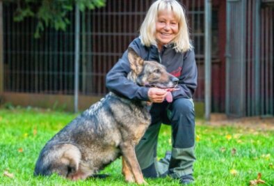 Hündin und ihre Halterin holen sich den Titel - Andrea Pohle vom Hundesportverein Lugau ist mit ihrem Hund Dasha deutsche Meisterin in der Fährtenhundmeisterschaft geworden.