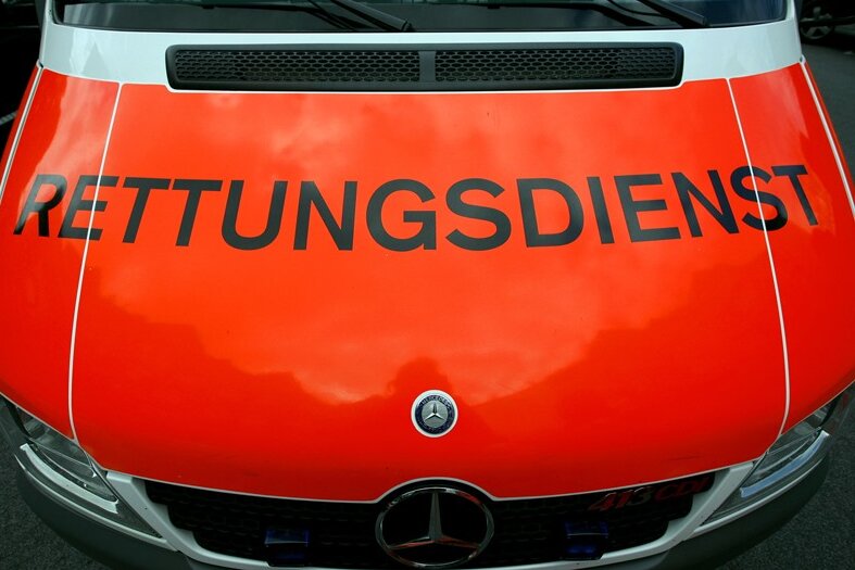 Hund springt aus Gebüsch - Kind stürzt von Rad und verletzt sich schwer - 