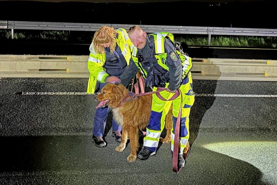 Hund trauert auf A 72 um überfahrenen Artgenossen - Halter meldet sich - Für die beiden Polizisten Silke Kattermann und Sebastian Hermann war es ein hartes Stück Arbeit, den Mischlingshund einzufangen. 