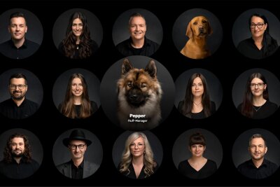 Hunde im Büro: Warum Chemnitzer Firmen auf Vierbeiner setzen - Die Werbeagentur Dschoy wirbt auf ihrer Homepage gezielt mit Fotos ihrer tierischen Mitarbeiter.