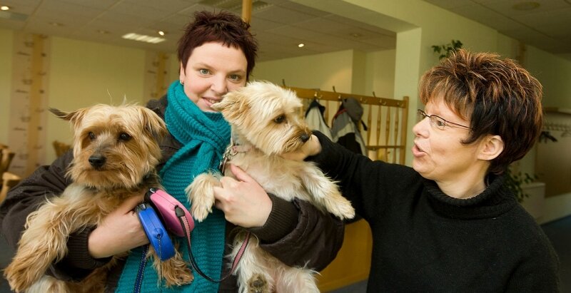 Nicole Lubold mit ihren Yorkshire-Terriern Gizmo und Luzy