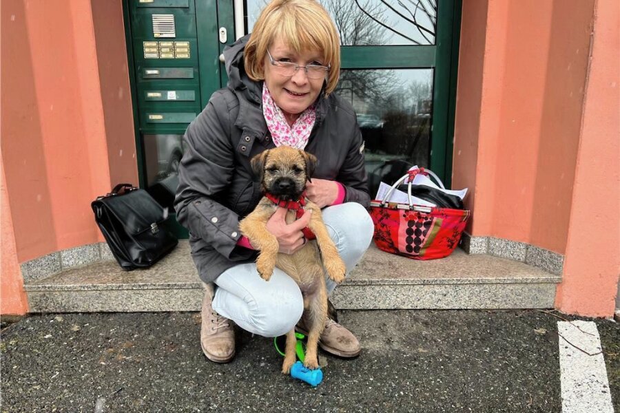 Hundekot: Haufenweise Ärger in Werdau und Crimmitschau - Silke Spitzner ist oft mit ihrem Border Terrier in Crimmitschau unterwegs - aber immer mit Hundekotbeuteln. 