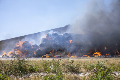 Hunderte brennende Strohballen im Erzgebirge: 400 Kühe entkommen Großbrand - 