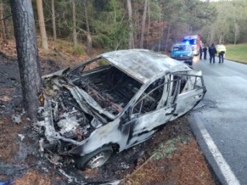 Hybridauto prallt an Baum und brennt aus - 