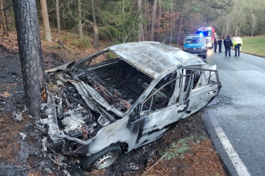 Hybridauto prallt an Baum und brennt aus 