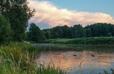 Illegales Betreten von Naturschutzgebieten nimmt zu - Abendstimmung im Limbacher Teichgebiet, das auch Brutgebiet für Vögel ist. Zunehmend ist das Naturidyll aber durch illegales Betreten des Areals sowie nicht angeleinte Hunde bedroht. 