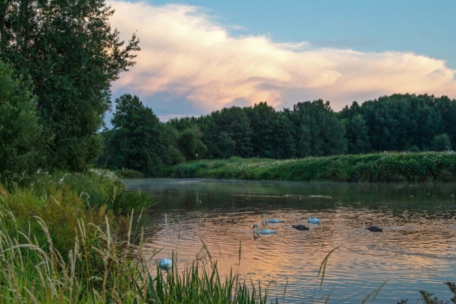 Illegales Betreten von Naturschutzgebieten nimmt zu - Abendstimmung im Limbacher Teichgebiet, das auch Brutgebiet für Vögel ist. Zunehmend ist das Naturidyll aber durch illegales Betreten des Areals sowie nicht angeleinte Hunde bedroht. 
