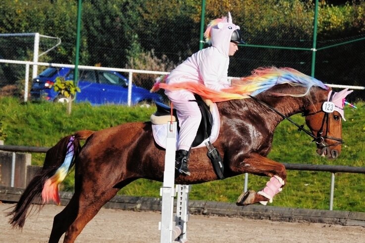 Im Einhornkostüm zum Sieg - "Das letzte Einhorn": Jennifer Massalsky vom RFV Ellefeld hat auf ihrem Pferd Donanima die gesonderte Kostümwertung gewonnen. 