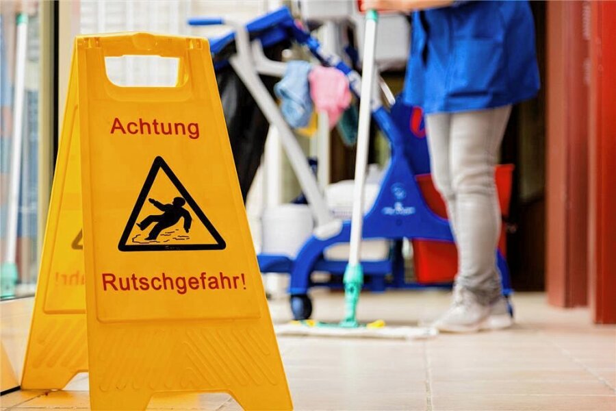 Im Landkreis Zwickau arbeiten 2460 Personen als Reinigungskräfte - Im Landkreis Zwickau gibt es 2460 Reinigungskräfte.