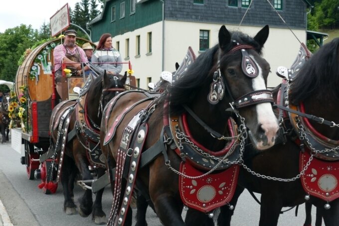 Im lockeren Trab raus aus dem Alltag - Mit Prunkgeschirr sind die vier Pferde geschmückt, die den Bierwagen ziehen und damit den drei Kutschen umfassenden Tross entlang der 180 Kilometer langen Bierroute anführen. 