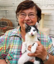 Im Tierheim ist noch Platz für Hund und Katz - Für die jungen Kätzchen wie Betty finden Karin Junold und ihre Mitstreiter sicherlich ein gutes Zuhause..