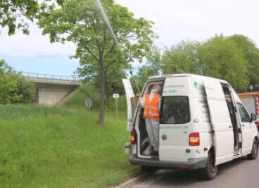 Im Vollschutz gegen Falter-Raupen - Schädlingsbekämpfung auf der S 34 nahe Leisnig. 