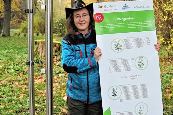 Im Wildkräuterpark kann ab Sonnabend genascht werden - Die stellvertretende Vereinsvorsitzende von "Wildes Oederan", Susanne Herklotz, zeigt eine der Informationstafeln, die wichtige Fakten enthalten. 