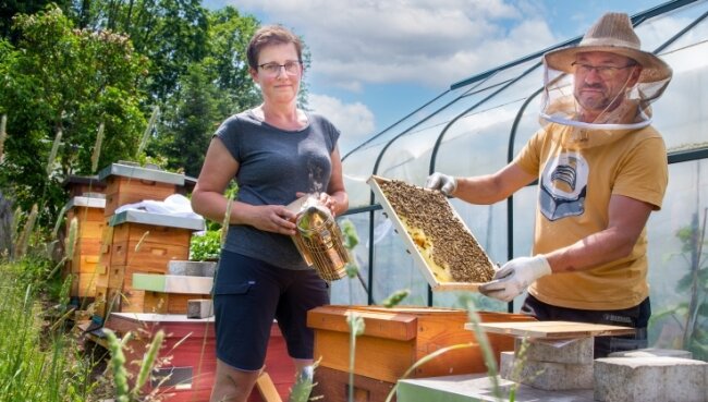 Imker-Grundkurs zwischen Löwenzahn, Raps und Obstblüte - Seit fünf Jahren besitzen Sabine und Ronny Meier aus Herold eigene Bienenvölker. Ihr großes Wissen dazu haben sie sich angelesen. 
