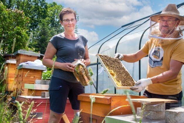 Imker-Grundkurs zwischen Löwenzahn, Raps und Obstblüte - Seit fünf Jahren besitzen Sabine und Ronny Meier aus Herold eigene Bienenvölker. Ihr großes Wissen dazu haben sie sich angelesen. 