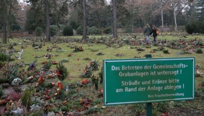 Immer mehr Zwickauer sterben einsam - In der Gemeinschaftsgrabanlage auf dem Hauptfriedhof werden auch Sozialbestattungen durchgeführt. 