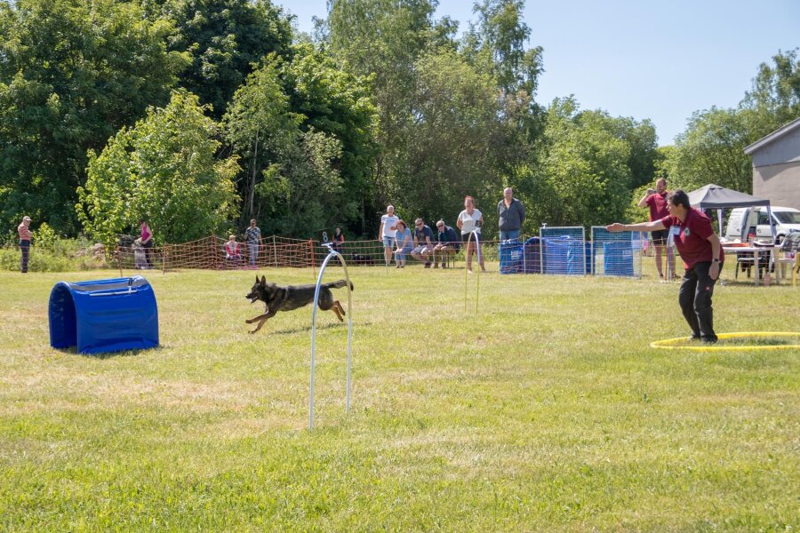 In Annaberg küren Hundesportler die Landessieger in der Disziplin Hoopers - Jacqueline Kupke vom Verein Hoopers Annaberg zeigt ihrem Schäferhund „Aslan“, wo es langgehen soll.